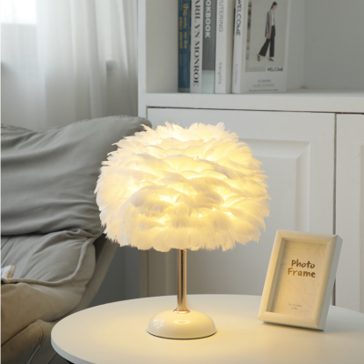 Lampe de table moderne en plumes